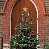 7ft (210cm-240cm) - Premium Grade Nordman Fir Christmas Tree - Image 9