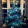 7ft (210cm-240cm) - Premium Grade Nordman Fir Christmas Tree - Image 11