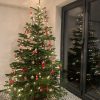 7ft (210cm-240cm) - Premium Grade Nordman Fir Christmas Tree - Image 12